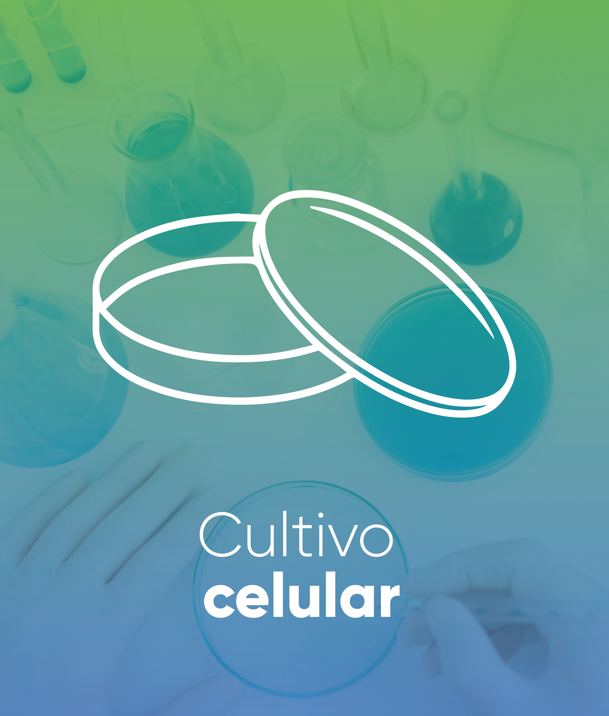 cultivo celular plastipur